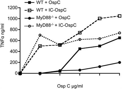 Dual role for Fcγ receptors in host defense and disease in Borrelia burgdorferi-infected mice